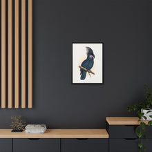 Great Black Cockatoo (Probosciger aterrimus) colored wood-engraved plate by Alexander Francis Lydon