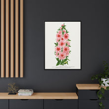 Prunus Triloba flower lithograph. Digitally enhanced from our own original 1900 edition plates of Botanical Specimen published by Rochester Lithographing