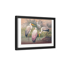 The African Wood Ibis from Zoological sketches (1861-1867) by Joseph Wolf and Philip Lutley Sclater