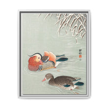 Mandarin ducks (1925 - 1936) by Ohara Koson