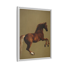 Whistlejacket es una pintura al óleo sobre lienzo de alrededor de 1762 que muestra el caballo de carreras del marqués de Rockingham, encabritado sobre un fondo blanco.