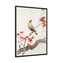 Japanese plague bird on maple (1900 - 1936) by Ohara Koson