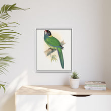 Lydon's Yellow-Naped Parrakeet | Vintage Bird Wall Art Print
