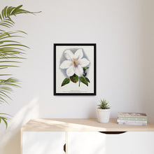 Clematis flower lithograph. Digitally enhanced from our own original 1900 edition plates of Botanical Specimen published by Rochester Lithographing