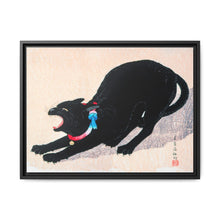 Black Cat Hissing 20th century print in high resolution by Hiroaki Takahashi - NOMADEN ART GALLERY