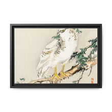 Northern mockingbird by Kōno Bairei (1844-1895) - NOMADEN ART GALLERY