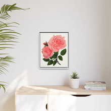 Pink Rose, La France Lithograph (1900)