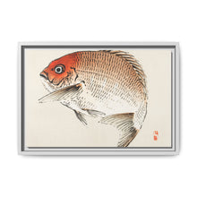 Tai (Red Seabream) fish by Kōno Bairei - NOMADEN ART GALLERY