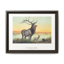 The Wapiti from Zoological sketches (1861-1867) by Joseph Wolf and Philip Lutley Sclater - NOMADEN ART GALLERY