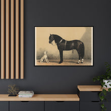 Orloffer (Orloff Horse) by Emil Volkers (1880) - An illustration of a black horse and a white dog - NOMADEN ART GALLERY