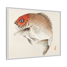 Tai (Red Seabream) fish by Kōno Bairei