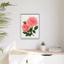 Pink Rose, La France Lithograph (1900)