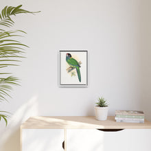 Lydon's Yellow-Naped Parrakeet | Vintage Bird Wall Art Print