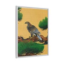 Pine and Eagle, a traditional portrait of a charismatic Japanese eagle by Kano Tanyu (1602-1674)