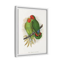 Lydon's West African Love-Bird | Vintage Avian Wall Art Print