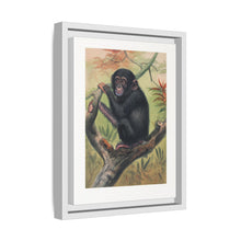 The Chimpanzee from Zoological sketches (1861-1867) by Joseph Wolf and Philip Lutley Sclater.