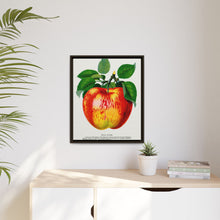 Wolf River Apple Lithograph | Vintage Botanical Wall Art Print