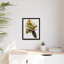 Lydon's Yellow-Rumped Parrakeet | Vintage Bird Wall Art Print