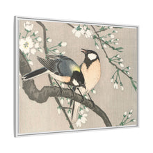 Tits on Cherry Branch (1900–1910) by Ohara Koson