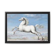 White horse (1552–1601) by Joris Hoefnagel - NOMADEN ART GALLERY
