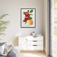 Japan Quince tree lithograph. Digitally enhanced from our own original 1900 edition plates of Botanical Specimen published by Rochester Lithographing