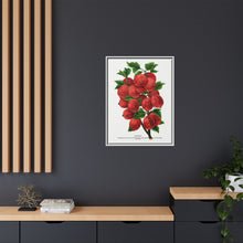 Industry Gooseberry lithograph. Digitally enhanced from our own original 1900 edition plates of Botanical Specimen published by Rochester Lithographing