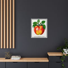Wolf River Apple Lithograph | Vintage Botanical Wall Art Print