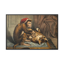 A monkey physician examining a cat patient for fleas. Coloured lithograph - NOMADEN ART GALLERY
