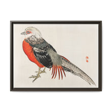 Japanese pheasant by Kōno Bairei (1844-1895) - NOMADEN ART GALLERY