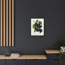 Snyder Blackberry lithograph from Botanical Specimen published by Rochester Lithographing