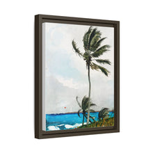 Palm Tree, Nassau (1898) by Winslow Homer