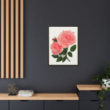 Pink Rose, La France Lithograph (1900)