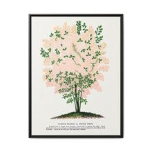 Purple Fringe tree lithograph. Digitally enhanced from our own original 1900 edition plates of Botanical Specimen published by Rochester Lithographing - NOMADEN ART GALLERY