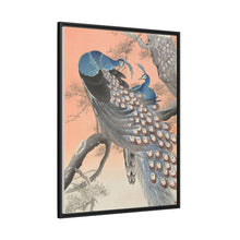 Two peacocks on tree branch (1900 - 1930) by Ohara Koson