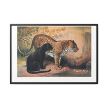 The Leopard from Zoological sketches (1861-1867) by Joseph Wolf and Philip Lutley Sclater - NOMADEN ART GALLERY