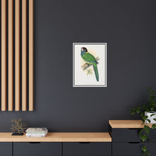 Lydon's Yellow-Naped Parrakeet | Vintage Bird Wall Art Print