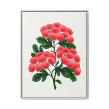 Paul's New Double Flowering Thorn lithograph. Digitally enhanced from our own original 1900 edition plates of Botanical Specimen published by Rochester Lithographing - NOMADEN ART GALLERY