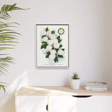 Japanese snowball flower lithograph. Digitally enhanced from our own original 1900 edition plates of Botanical Specimen published by Rochester Lithographing
