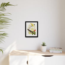 Lesser Lemon-Crested Cockatoo (Cacatua sulphurea) colored wood-engraved plate by Alexander Francis Lydon - NOMADEN ART GALLERY