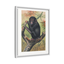 The Chimpanzee from Zoological sketches (1861-1867) by Joseph Wolf and Philip Lutley Sclater.