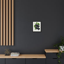 Snyder Blackberry lithograph from Botanical Specimen published by Rochester Lithographing - NOMADEN ART GALLERY