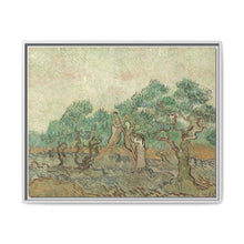 Vincent van Gogh's The Olive Orchard (1889) - NOMADEN ART GALLERY