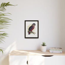 Dusky or Violet Parrot (Pionus fuscus) colored wood-engraved plate by Alexander Francis Lydon.