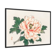 Pink rose by Kōno Bairei (1844-1895)