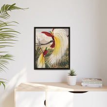 Birds of Paradise: Vintage Natural History Art by Benjamin Fawcett (1808 - 1893)