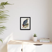 Grey Parrot (Psittacus erithacus) colored wood-engraved plate by Alexander Francis Lydon. - NOMADEN ART GALLERY