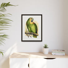Blue-Fronted Amazon (Amazona aestiva) colored wood-engraved plate by Alexander Francis Lydon