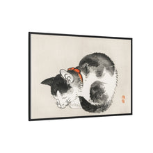 Sleeping cat by Kōno Bairei (1844-1895)