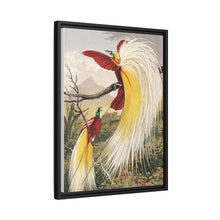 Birds of Paradise: Vintage Natural History Art by Benjamin Fawcett (1808 - 1893)