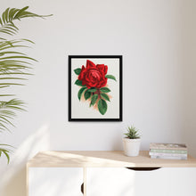 Red rose, Alfred Colomb lithograph. Digitally enhanced from our own original 1900 edition plates of Botanical Specimen published by Rochester Lithographing